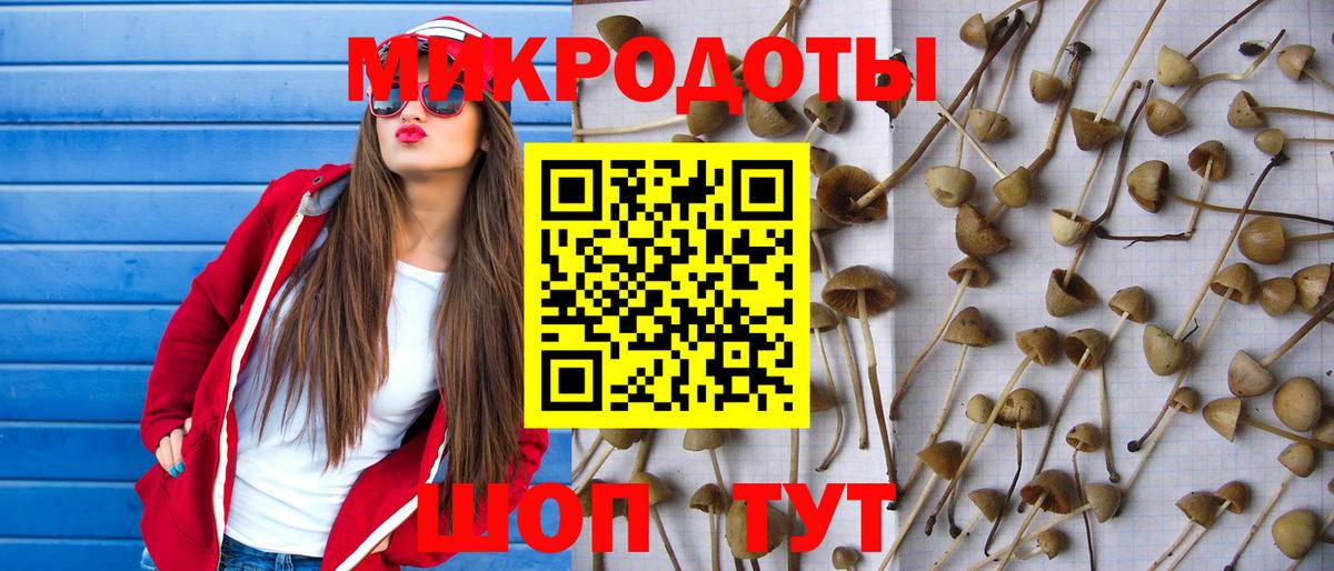 Галлюциногенные грибы Psilocybe Батайск